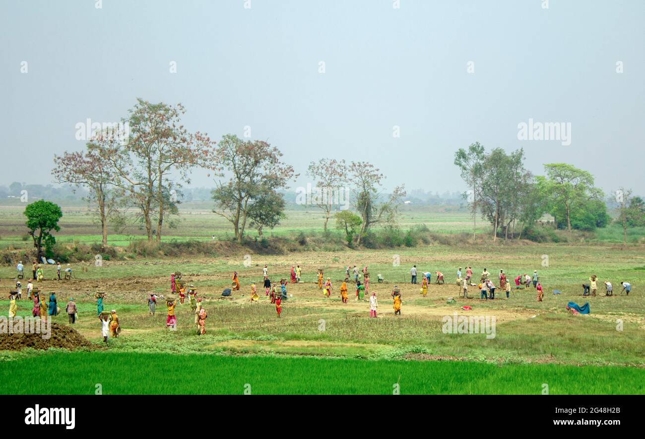 Menschen, Bauern, die auf dem Feld in ländlichen Indis arbeiten; Bauern, die auf dem Feld arbeiten; hart arbeitend hartes Leben der Menschen Stockfoto