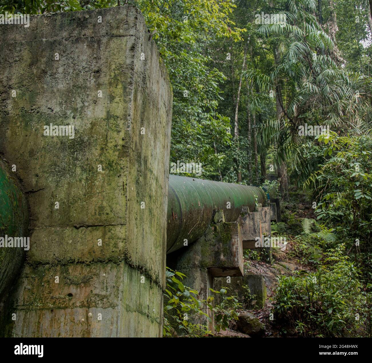 Minihydro-Stromerzeugung; Stromerzeugung; Stromerzeugung; Wasserkraft; sri lanka; asien Stockfoto