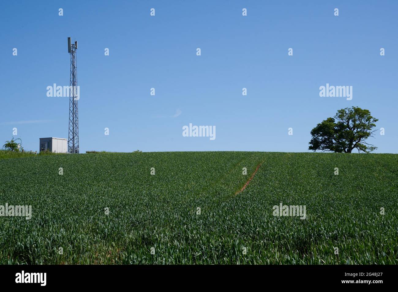 Handy-Mast im Erntefeld mit blauem Himmel Stockfoto