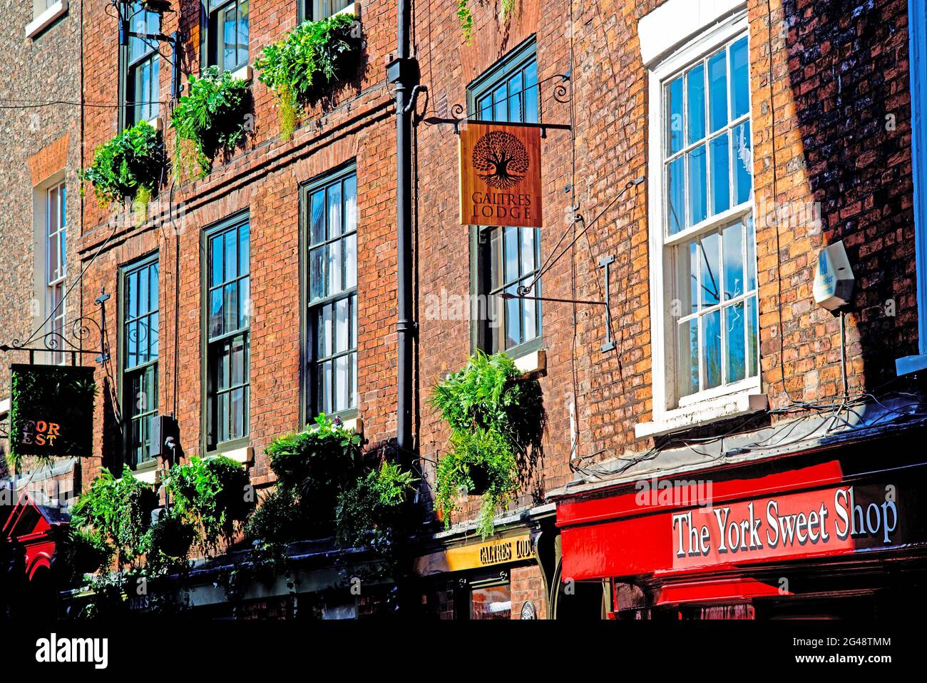 York Sweet Shop, Low Petergate, York, England Stockfoto