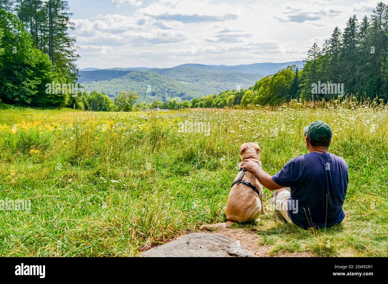 Ein Mann und sein Hund haben einen Moment mit Blick auf ein wunderschönes Sommerfeld und die Landschaft von Neuengland. Vermont, USA. Stockfoto