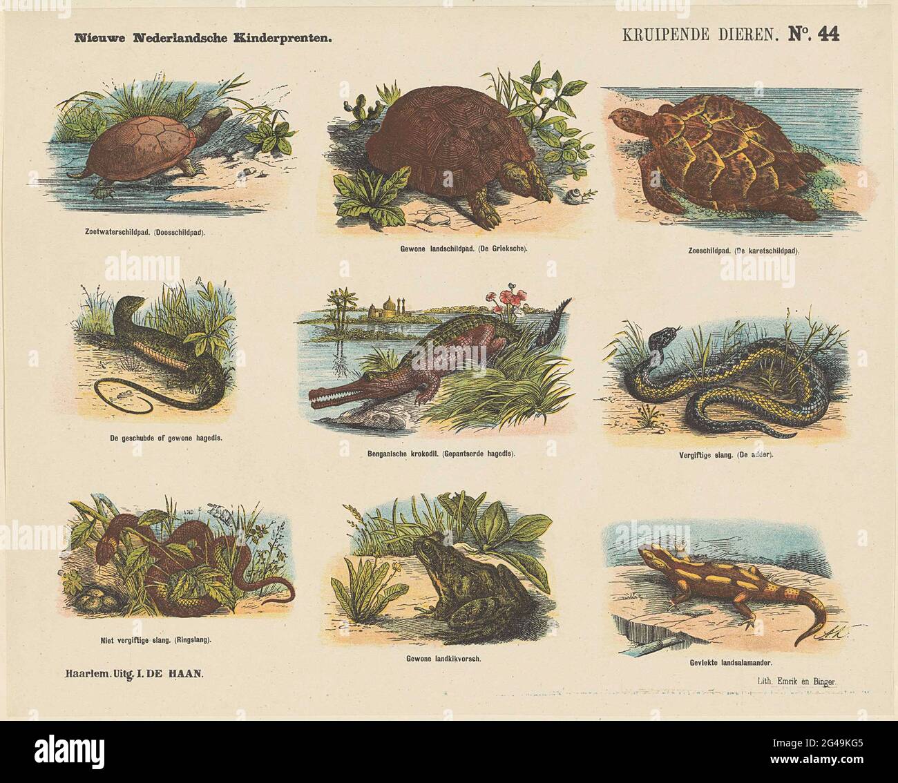 Kriechende Tiere; Neue hollndische Kinderdrucke. Blatt mit 9 Darstellungen  von Reptilien und Amphibien, unter anderem Schildkrten, Schlangen und  einem Frosch. Unter jedem Bild eine Beschriftung. Rechts oben nummeriert:  Nr. 44 Stockfotografie - Alamy