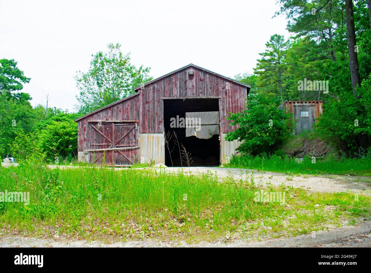 Altes Barnhouse, das dringend repariert werden muss, an einer unbefestigten Hinterstraße im ländlichen Maine Stockfoto