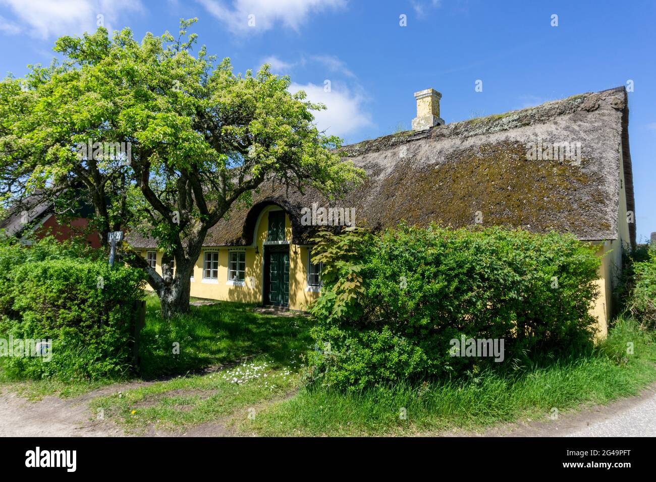 Traditionelles dänisches Haus mit Reetdach in einer Küstensanddünenlandschaft Stockfoto