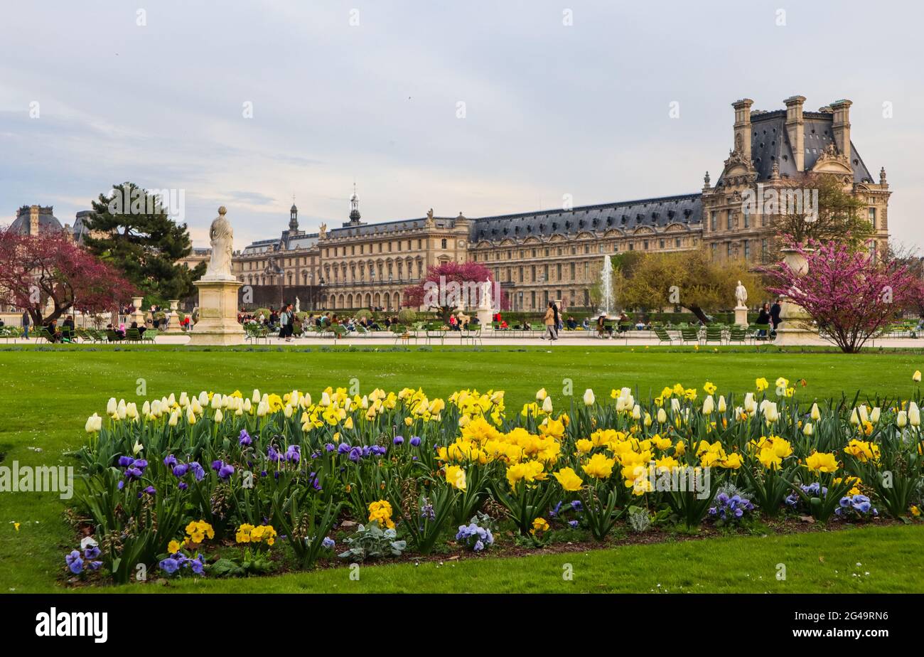 Paris/Frankreich - 05 April 2019. Wunderbare Feder Tuileries Garten und Blick auf den Louvre Stockfoto