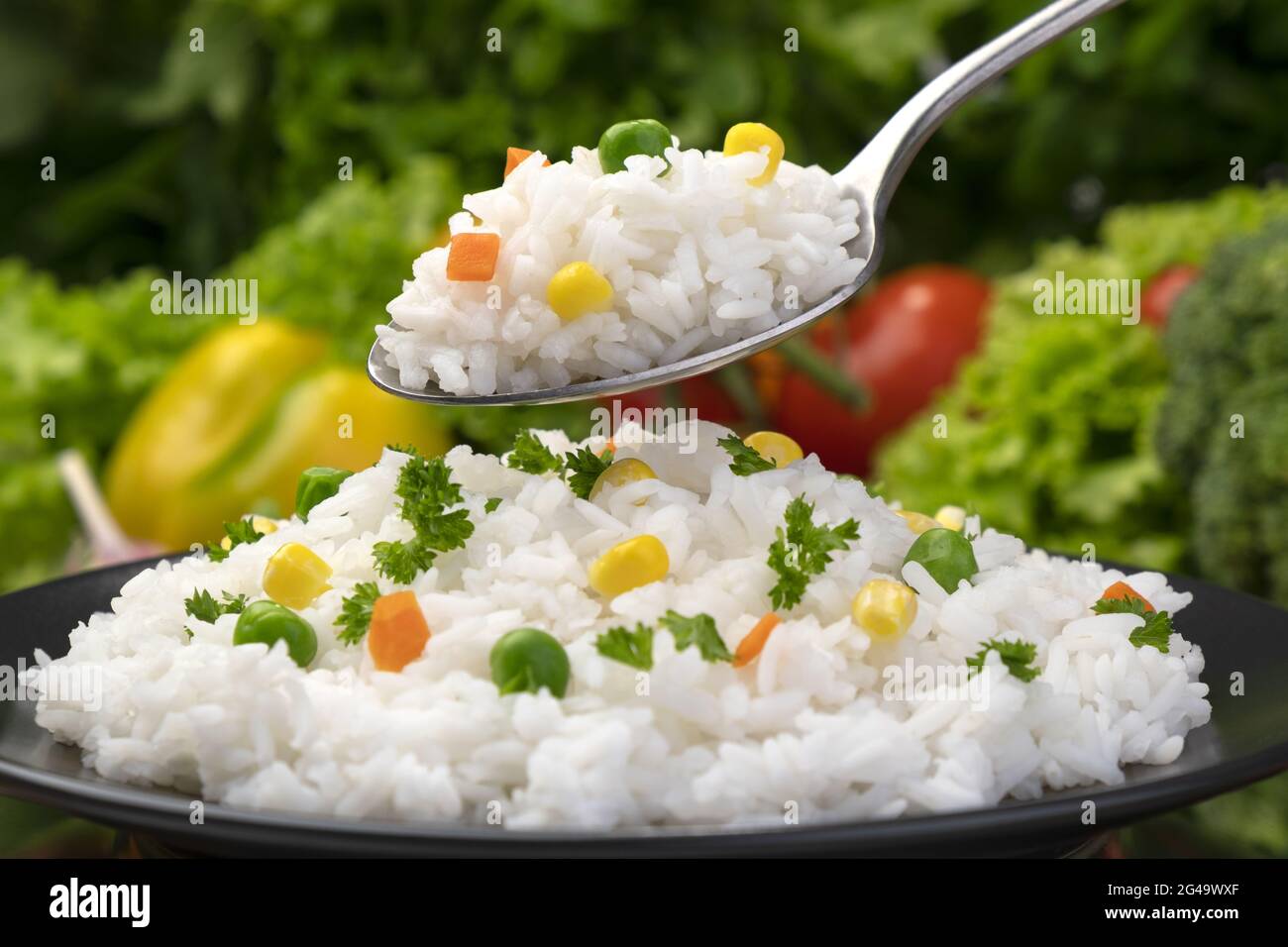 Gekochter Reisbrei, serviert mit Kräutern und Gemüse auf schwarzem Teller Stockfoto