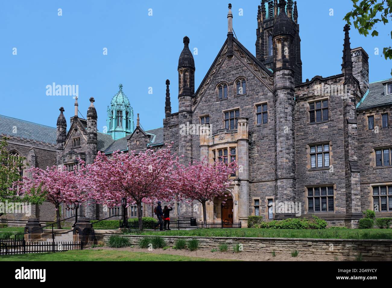 Das gotische Äußere eines der alten Universitätsgebäude an der Universität von Toronto, mit Bäumen, die im Frühling blühen Stockfoto