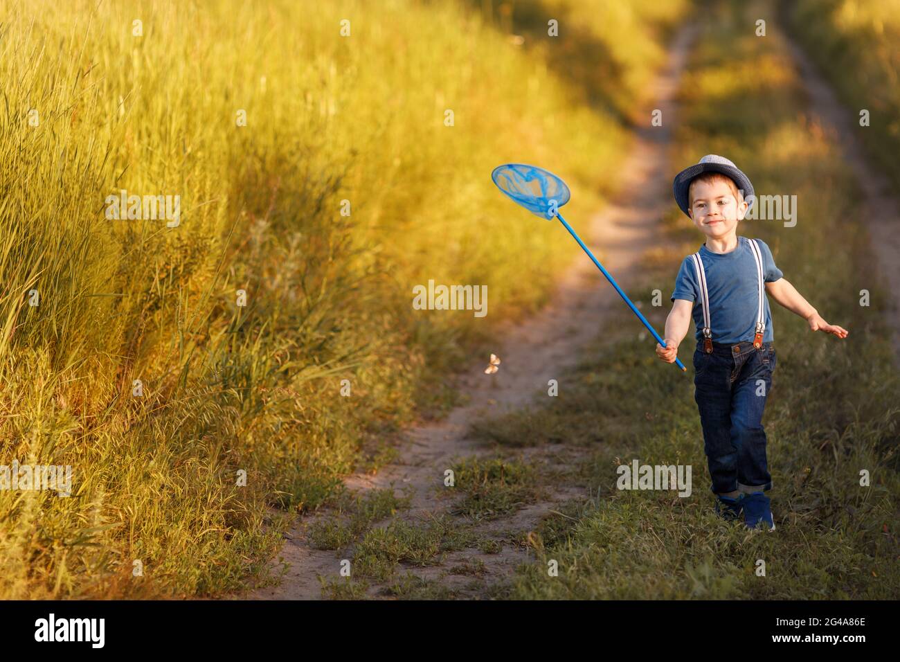 Kleiner Junge fängt Schmetterlinge mit Netz auf der Wiese Stockfoto