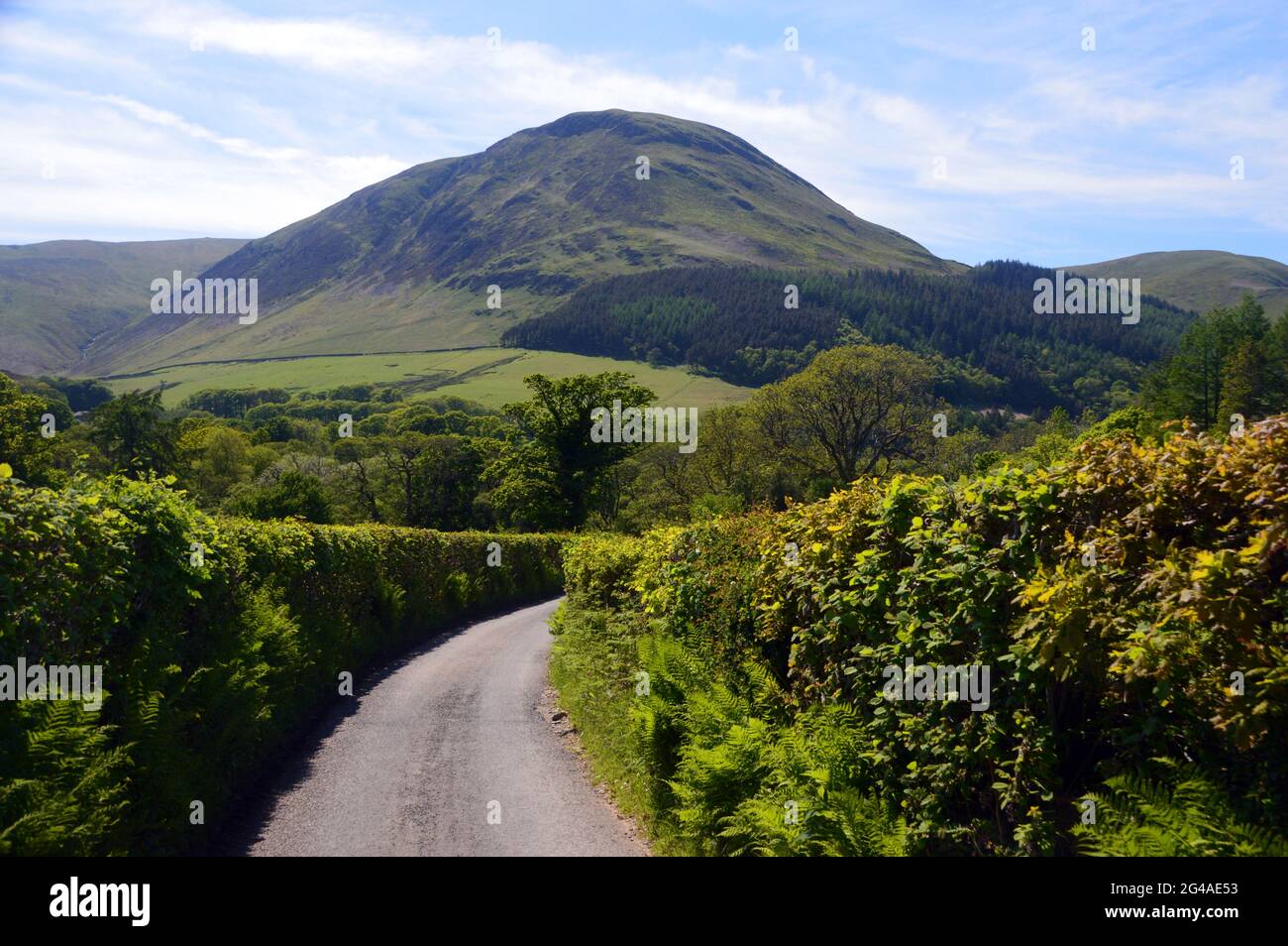 Der Wainwright Mellbreak von der Straße zum Maggie's Bridge Car Park am Loweswater Lake in der Nähe von Holme Wood im Lake District National Park, Cumbria. Stockfoto