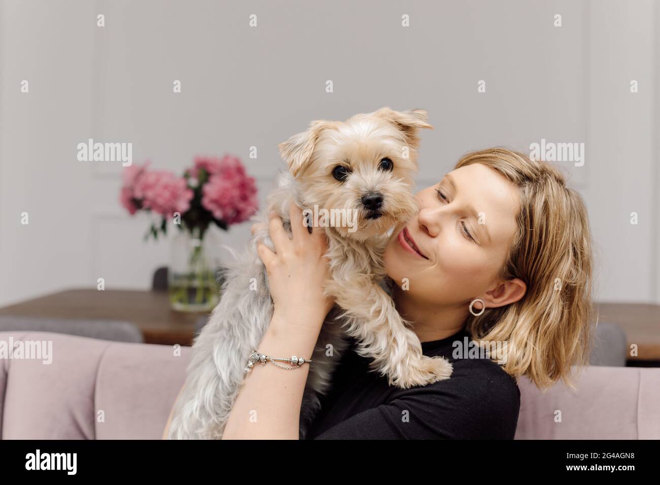 Die junge blonde Frau umarmt einen Yorkshire Terrier Hund, während sie auf  dem rosa Sofa im gemütlichen, modernen Wohnzimmer sitzt. Besitzer und  Haustier haben die gleiche Haarfarbe. Bea Stockfotografie - Alamy