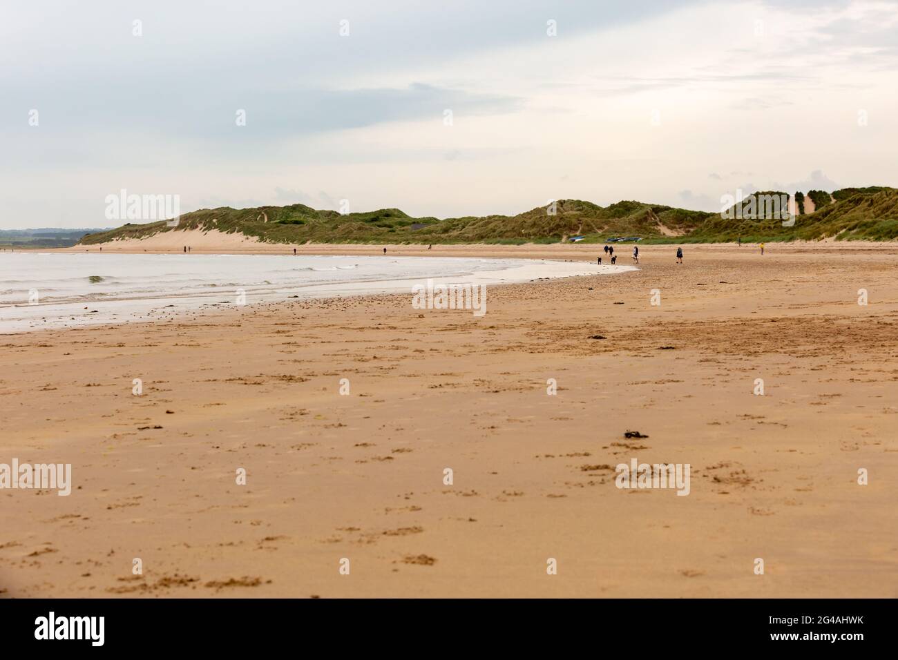 Beadnell, Northumberland, Großbritannien. Juni 2021. Hundewanderer und Jogger sind die ersten, die an einem ansonsten leeren Strand in Beadnell Bay, Northumberland, an einem langweiligen Morgen ankommen. Es wird erwartet, dass das Wetter später am Nachmittag heller wird. Peter Lopeman/Alamy Live News Stockfoto