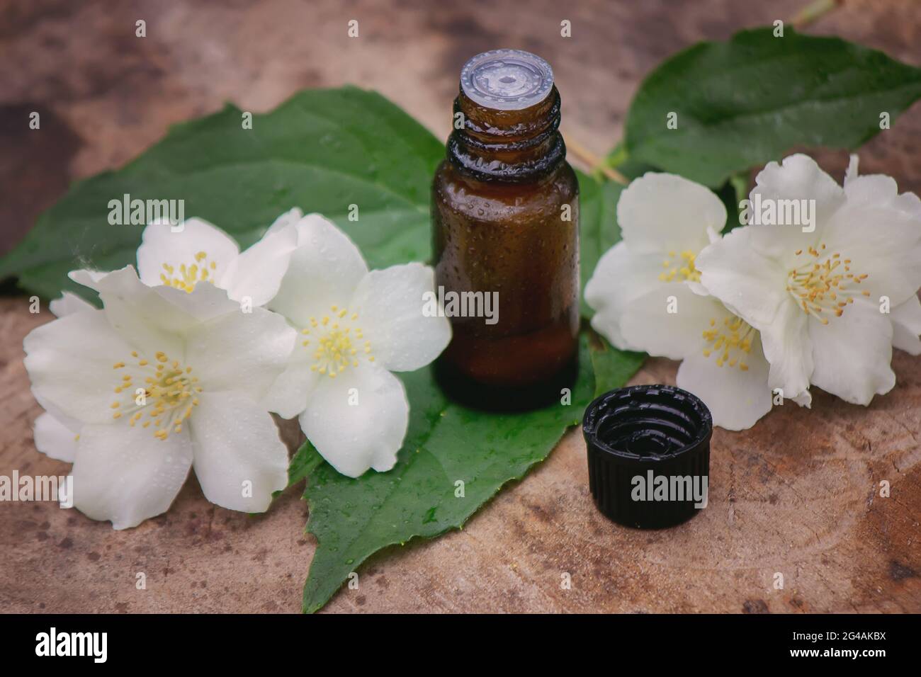 Ätherisches Öl und Jasminblüten auf einem hölzernen Hintergrund. Kosmetische Verfahren. Stockfoto
