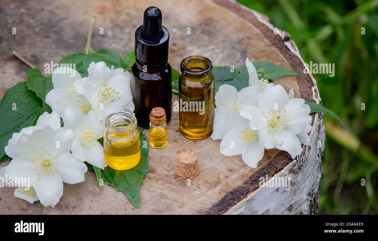 Ätherisches Öl und Jasminblüten auf einem hölzernen Hintergrund. Kosmetische Verfahren. Stockfoto