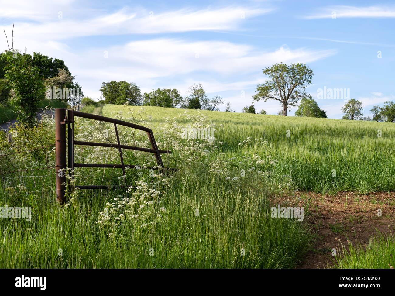 Altes Farmtor in Donnington in der Nähe von Stow-on-the-Wold, Cotswolds, Gloucestershire, England. Stockfoto