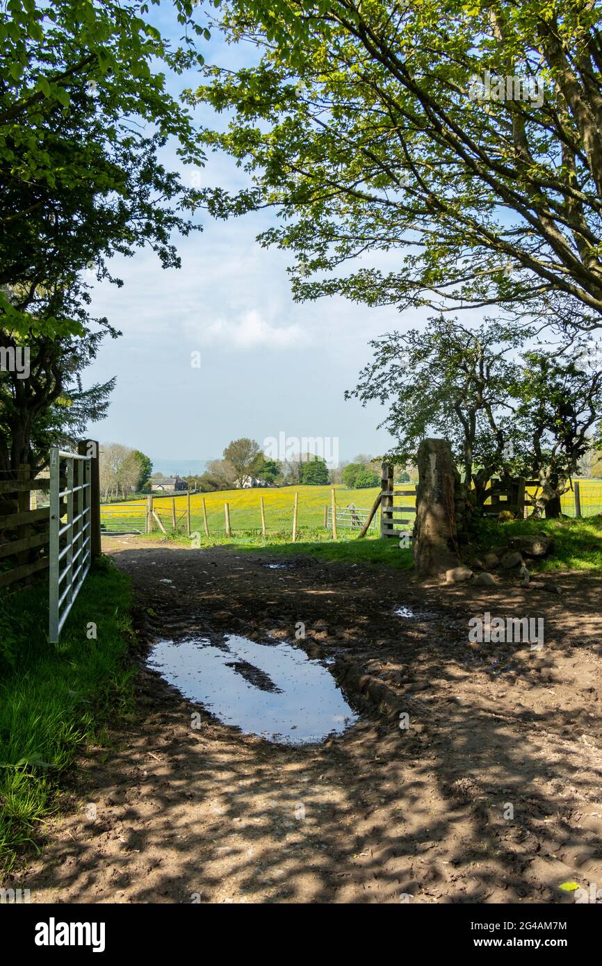 Tor zum Feld auf der St. Oswalds Farm an der römischen Mauer in der Nähe von Hexham Northumberland Stockfoto