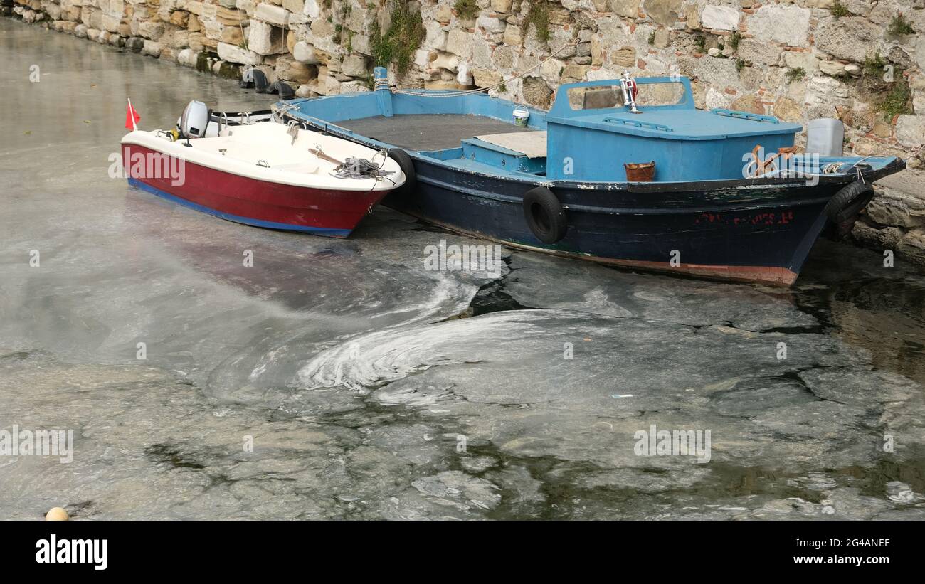 Schleim, der das Marmarameer in der Türkei vollständig bedeckt Stockfoto