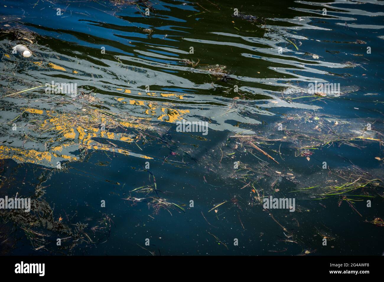 Öl und Müll, die Verschmutzung des Wassers. Selektiver Fokus mit geringer Tiefenschärfe. Stockfoto Öl und Müll, die Verschmutzung des Wassers. Selektiver Fokus mit geringer Tiefenschärfe. Stockfoto