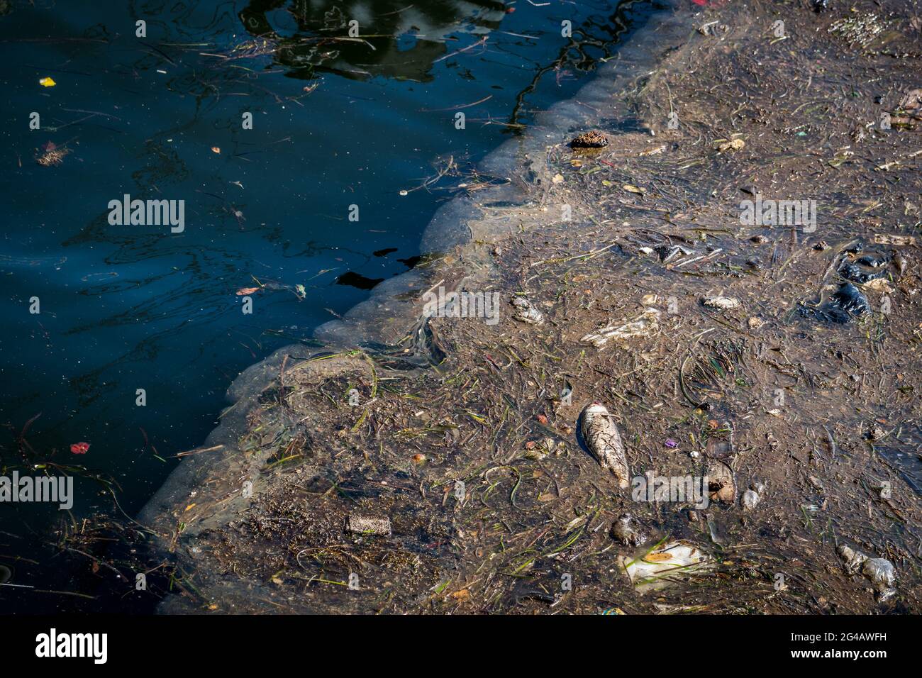 Öl und Müll, die Verschmutzung des Wassers. Selektiver Fokus mit geringer Tiefenschärfe. Stockfoto Öl und Müll, die Verschmutzung des Wassers. Selektiver Fokus mit geringer Tiefenschärfe. Stockfoto