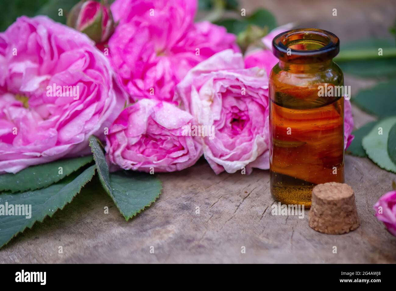 Nahaufnahme einer Flasche ätherisches Rosenöl mit fallenden Blättern auf Holzgrund. Stockfoto
