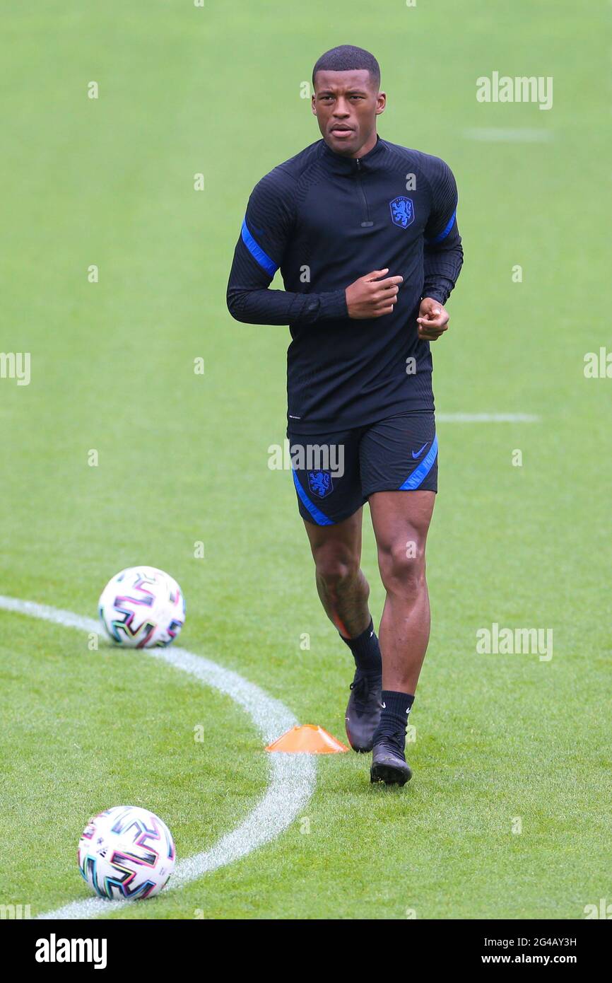 Zeist, Niederlande. Juni 2021. Georginio Wijnaldum aus den Niederlanden nimmt am 20. Juni 2021 am KNVB Campus in Zeist, Niederlande, an einer Trainingseinheit vor dem UEFA Euro 2020 Championship Group C Spiel zwischen Nord-Mazedonien und den Niederlanden Teil. Quelle: Zheng Huansong/Xinhua/Alamy Live News Stockfoto