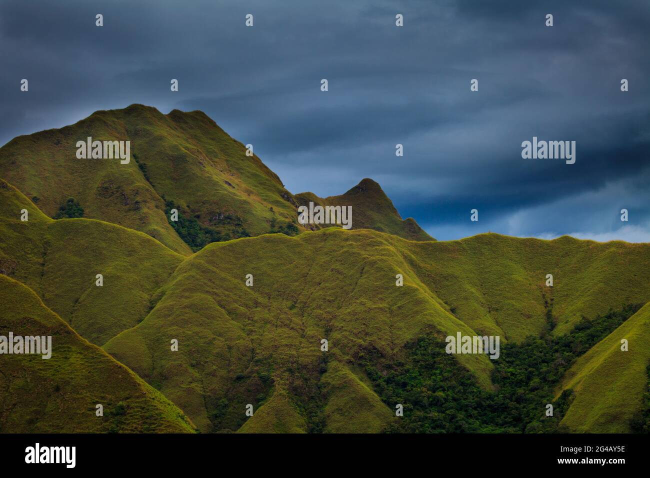 Panamalandschaft mit den wunderschönen Bergen Cerros los Picachos de Ola, Provinz Cocle, Republik Panama, Mittelamerika. Stockfoto