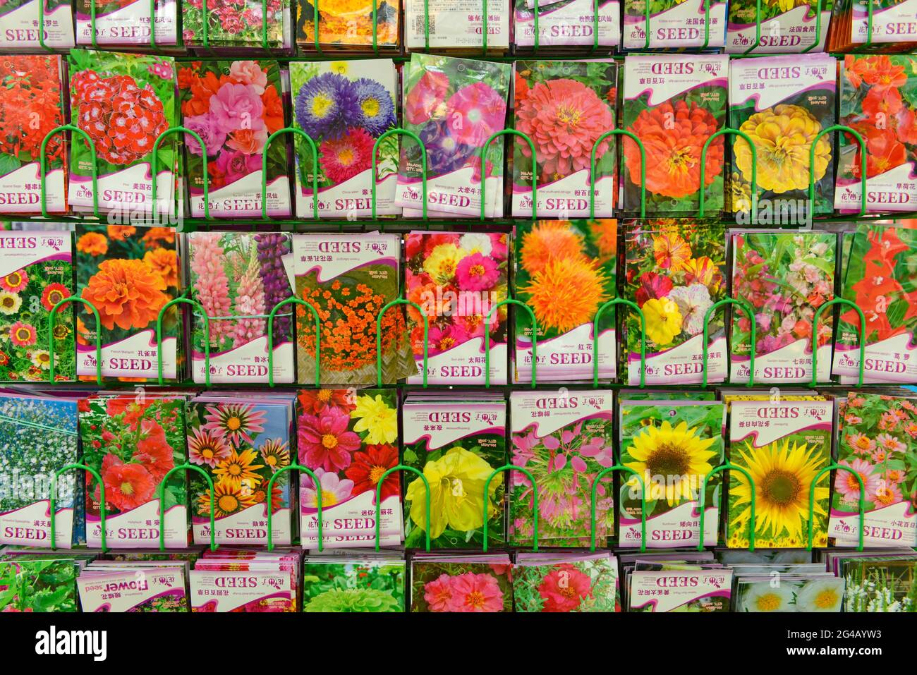 Päckchen Blumensamen auf einer Gartenbauausstellung und -Messe in Peking, China Stockfoto