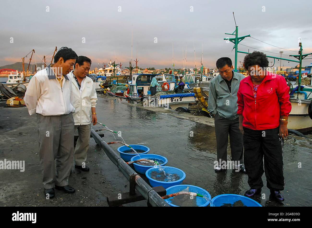 20. Juni 2021-Kosong, Südkorea-in Dieses Foto wurde am 13. Juni 2003 aufgenommen. Fischermänner, die am frühen Morgen im Fischereihafen im Hafen von Keojin, Kosong, Südkorea, arbeiteten. Kosong County in der Provinz Kangwon, Nordkorea. Sie liegt in der südlichsten Ecke Nordkoreas, unmittelbar nördlich der demilitarisierten Zone Koreas. Vor dem Ende des Koreakrieges im Jahr 1953 bildete sie zusammen mit der heutigen südkoreanischen Grafschaft mit dem gleichen Namen eine einzige Grafschaft. Bei einer anschließenden Reorganisation nahm der Landkreis den südlichen Teil des Landkreises Tongchon auf. Stockfoto