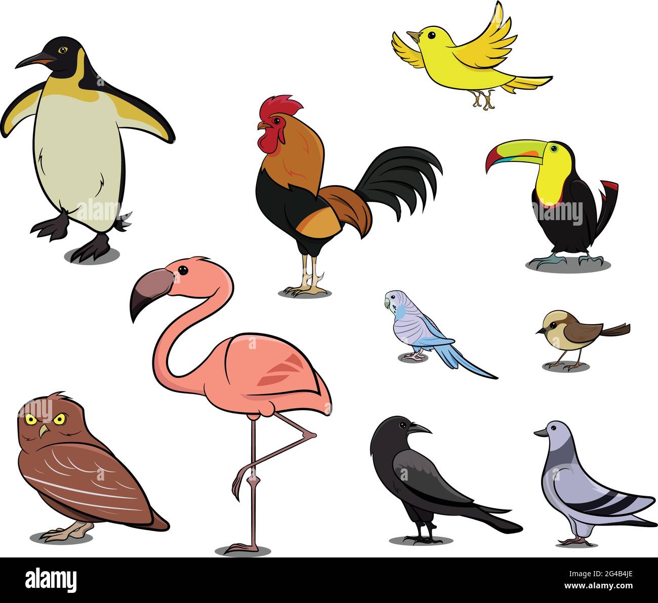 Vögel aus verschiedenen Teilen der Welt. Gewöhnliche Vögel. Pinguin Huhn Sperling Dodo Vogel Taubenente Schwaneneule Krähe. Symbolsatz Vektorgrafiken. Stock Vektor