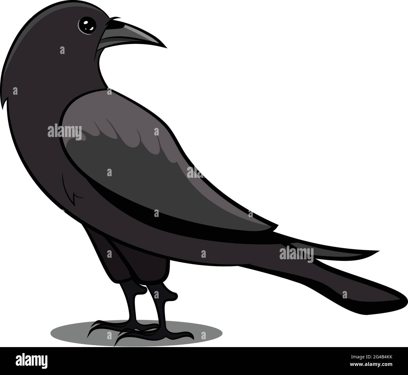 Schwarze Krähe mit Schatten. Schwarzer Vogel. Vögel aus verschiedenen Teilen der Welt. Gewöhnliche Vögel. Vogel Symbol Vektor Illustrationen Isoliert Doodle. Stock Vektor