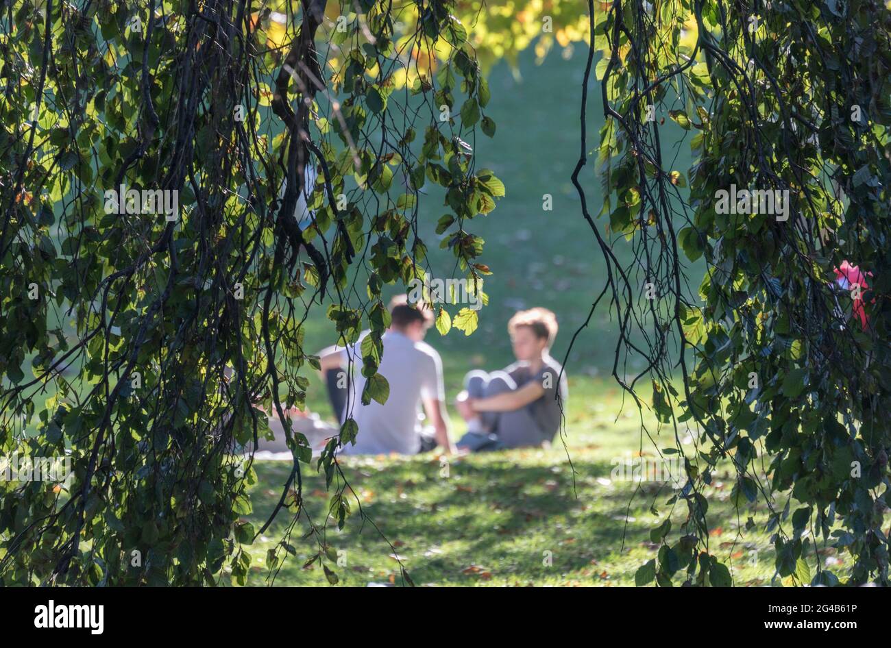 Boyds sitzen im Sonnenschein, St James's Park, Royal Parks, London, England, VEREINIGTES KÖNIGREICH Stockfoto