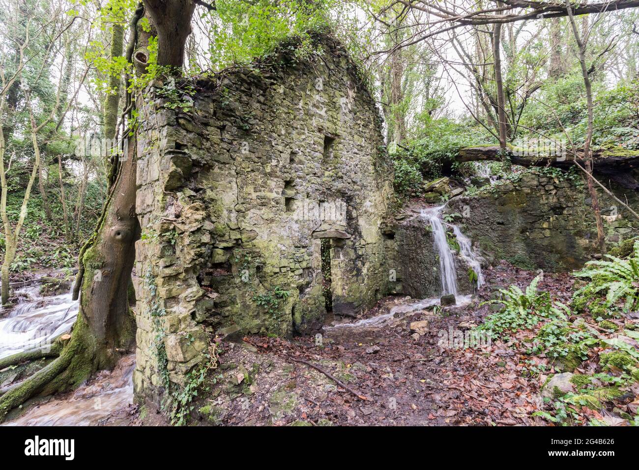Überreste einer zerstörten Maismühle, Cwm Nash, Blaen y Cwm Nature Reserve in der Nähe von Monknash, Wales, Großbritannien Stockfoto