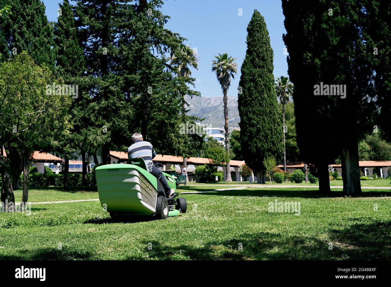 Der Mensch fährt im Park mit einem grünen großen Rasenmäher. Rückansicht Stockfoto