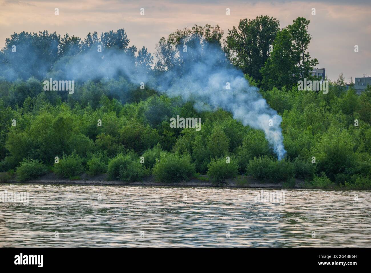 Rauch von wildem Feuer, Lagerfeuer in dichtem Laub des Flussufers in der Dämmerung. Stockfoto