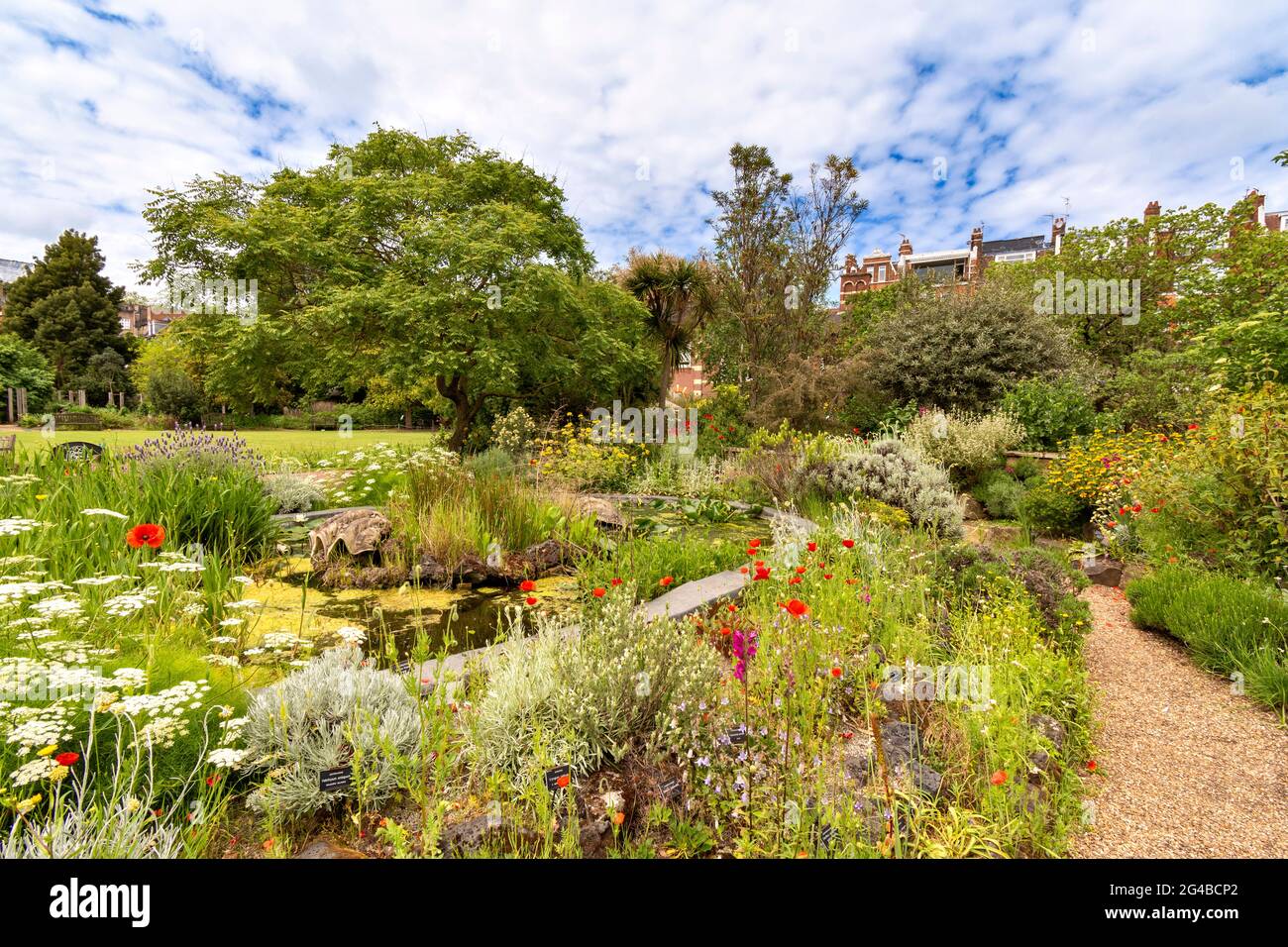LONDON ENGLAND DER CHELSEA PHYSIC GARTEN IM FRÜHSOMMER UNZÄHLIGE BLUMEN RUND UM DEN TEICH, DEN RASEN UND DIE BÄUME Stockfoto
