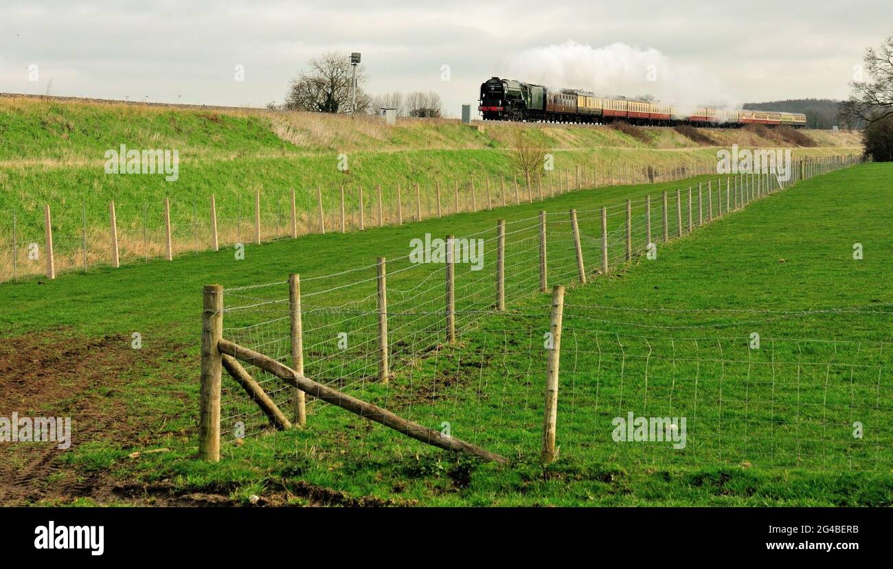 Neu gebauter Class A1 Pacific No 60163 Tornado, der durch Wiltshire mit dem Cathedrals Express nach Plymough fährt. 10th. März 2012. Stockfoto