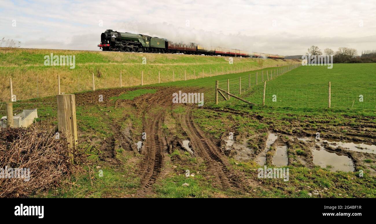 Neu gebauter Class A1 Pacific No 60163 Tornado, der durch Wiltshire mit dem Cathedrals Express nach Plymough fährt. 10th. März 2012. Stockfoto