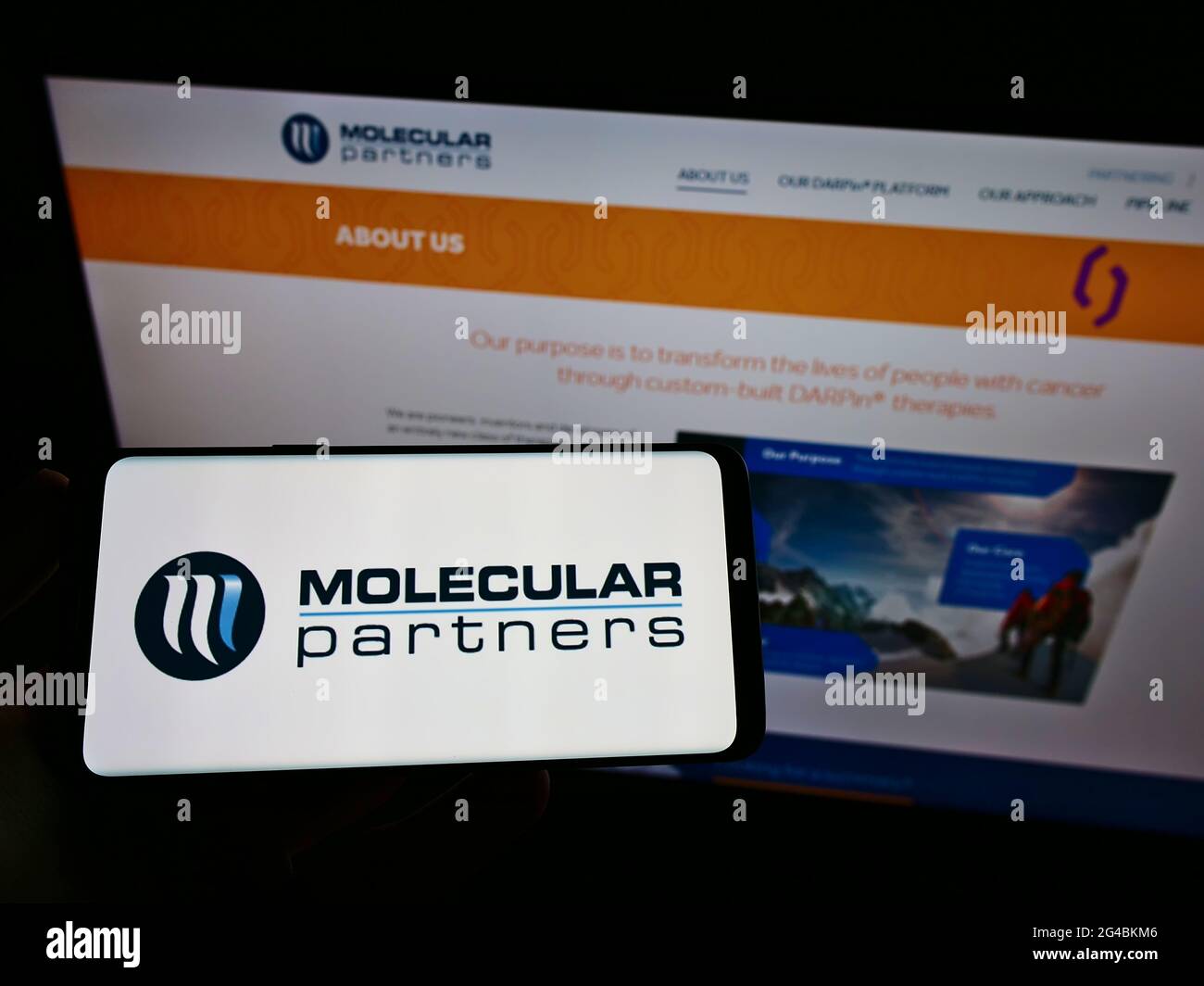 Person mit Mobiltelefon und Logo des Schweizer Biopharmaunternehmens Molecular Partners AG auf dem Bildschirm vor der Webseite. Konzentrieren Sie sich auf die Telefonanzeige. Stockfoto