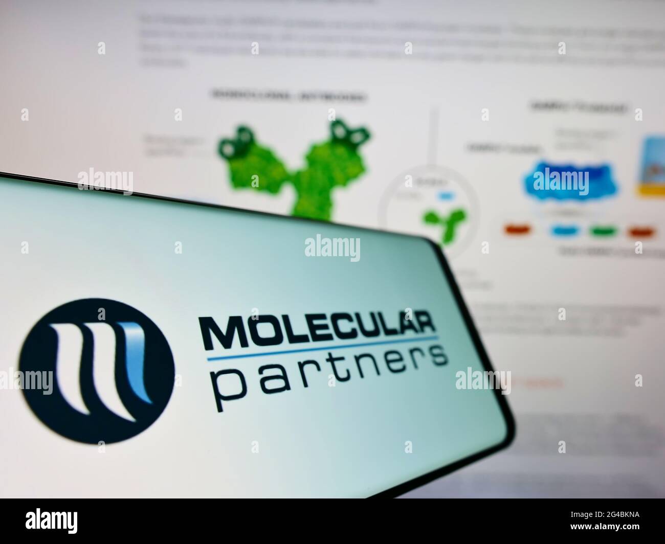 Smartphone mit Logo des Schweizer Biopharmazeutikers Molecular Partners AG auf dem Bildschirm vor der Website. Konzentrieren Sie sich auf die Mitte links des Telefondisplays. Stockfoto