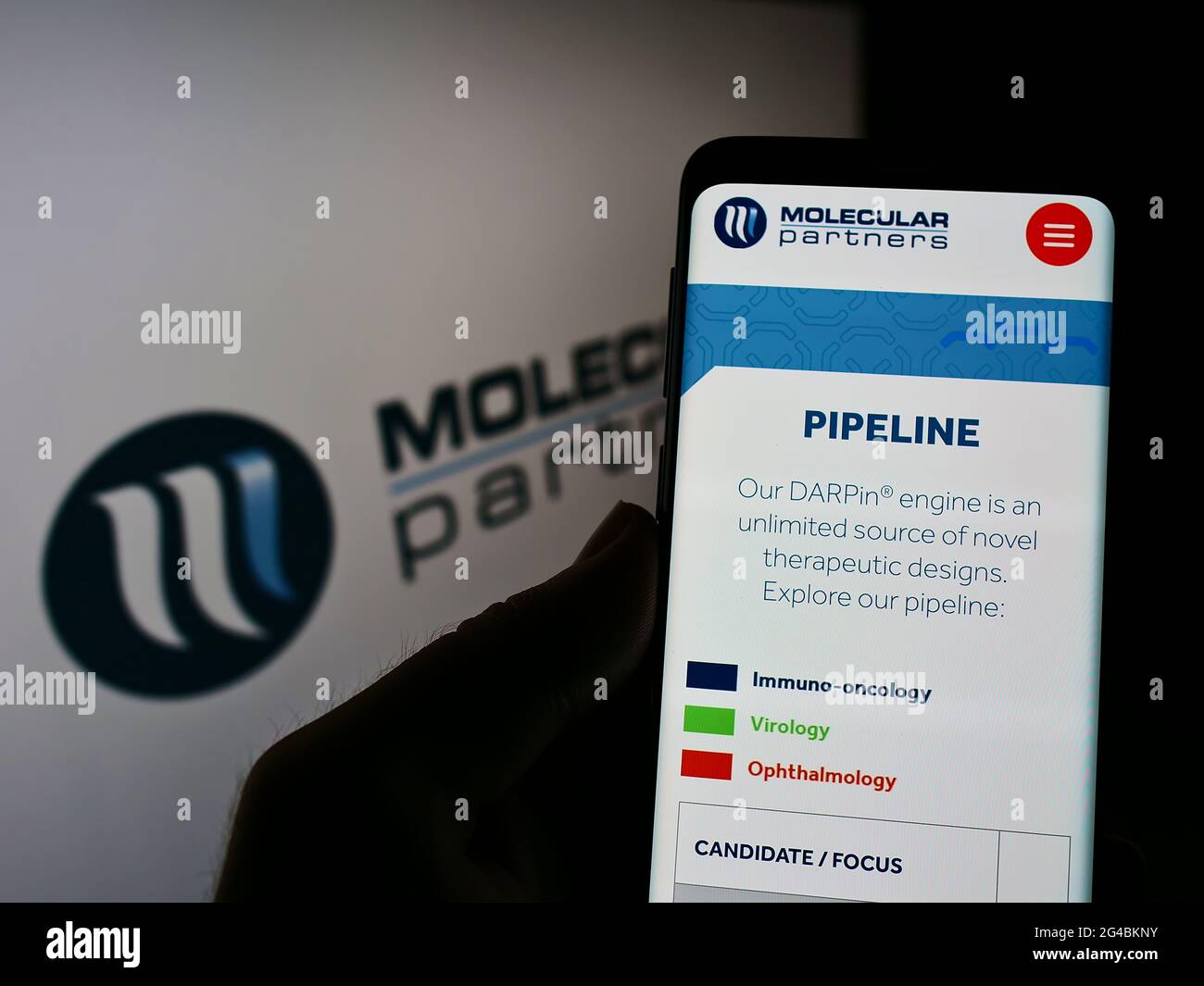 Person mit Mobiltelefon und Webseite des Schweizer Biopharmaunternehmens Molecular Partners AG auf dem Bildschirm mit Logo. Konzentrieren Sie sich auf die Mitte des Telefondisplays. Stockfoto