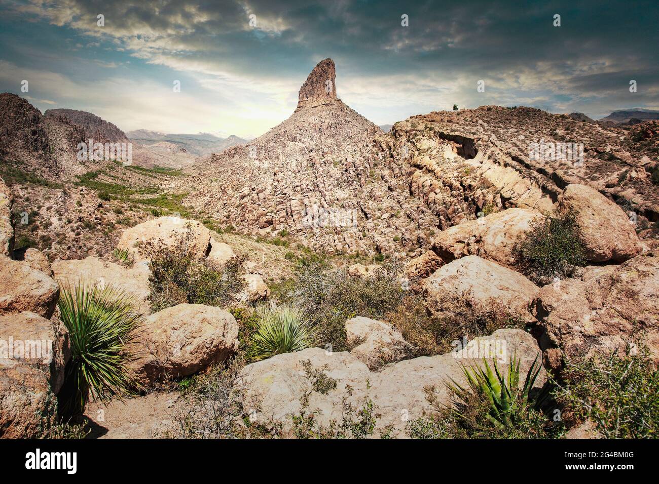 Eine Tageswanderung bringt Sie zur Weavers Needle, versteckt zwischen den Superstition Mountains in Arizona. Stockfoto