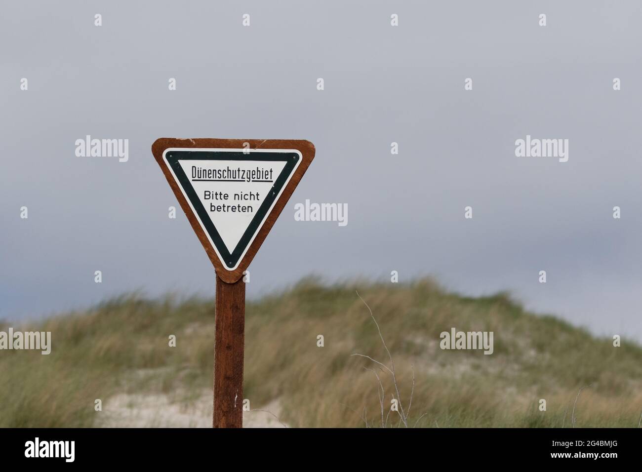 Ein Dreieck-Schild: Dünenschutzgebiet, bitte nicht betreten Stockfoto