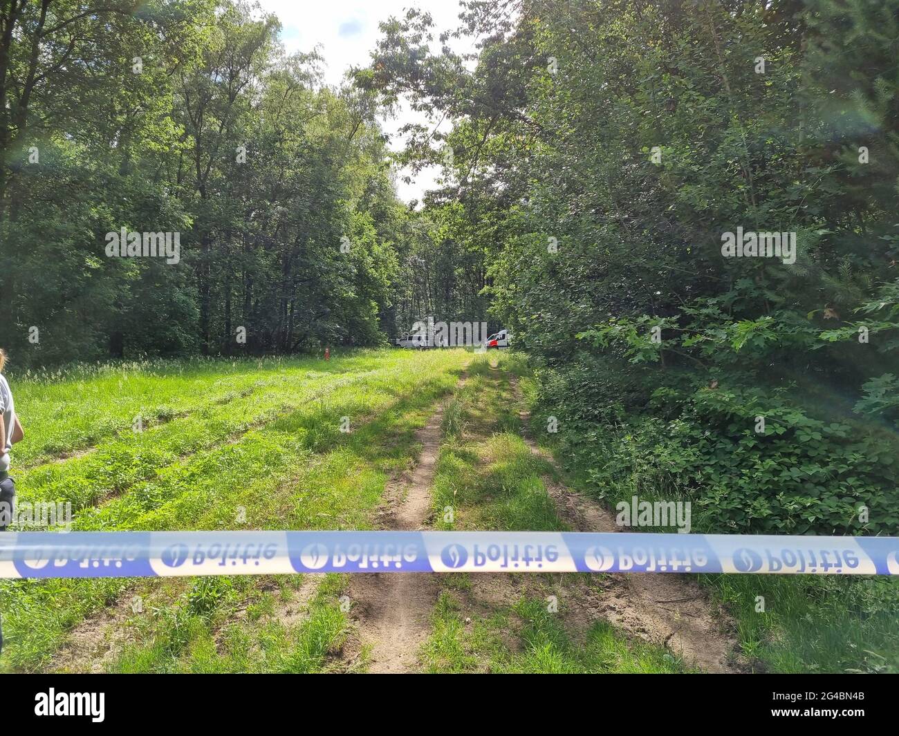 Die Polizei, die in der Nähe der Stelle, an der die Leiche von Jurgen C gefunden wurde, in Dilserbos, einem Waldgebiet des Nationaal Park Hoge Kempen in Dilsen-Stokkem, Stockfoto