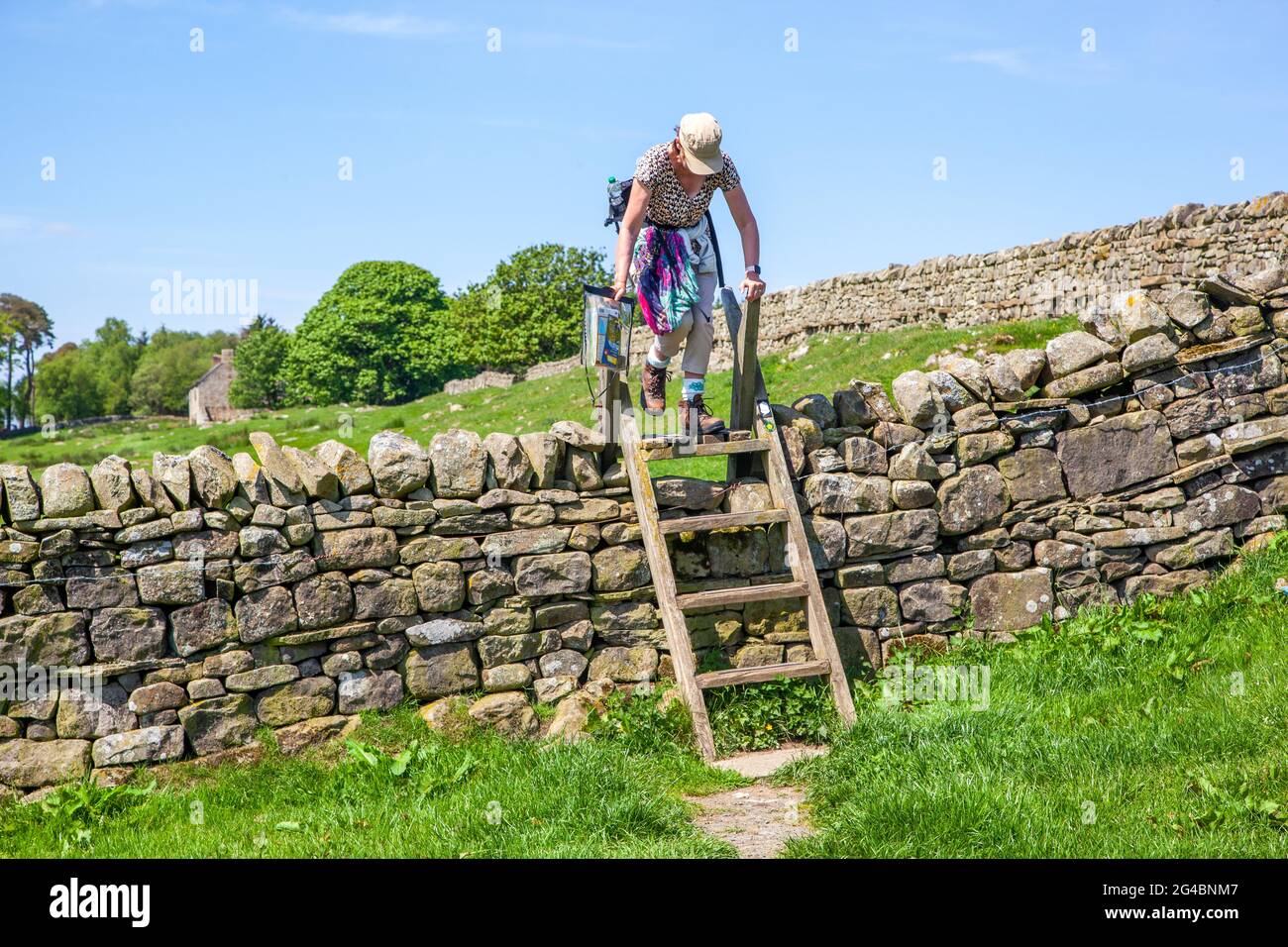 Frau klettert einen Stiel über eine trockene Steinmauer, während sie auf der Hadrianmauer entlang des langen National Trail-Fußweges Northumberland England geht Stockfoto