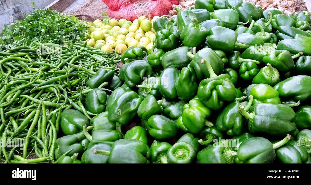 Auswahl an frischem Gemüse. Capsicum (Shimla Mirchi), Zitrone, Spicy Green Chilly, Koriander werden auf dem indischen Markt verkauft Stockfoto