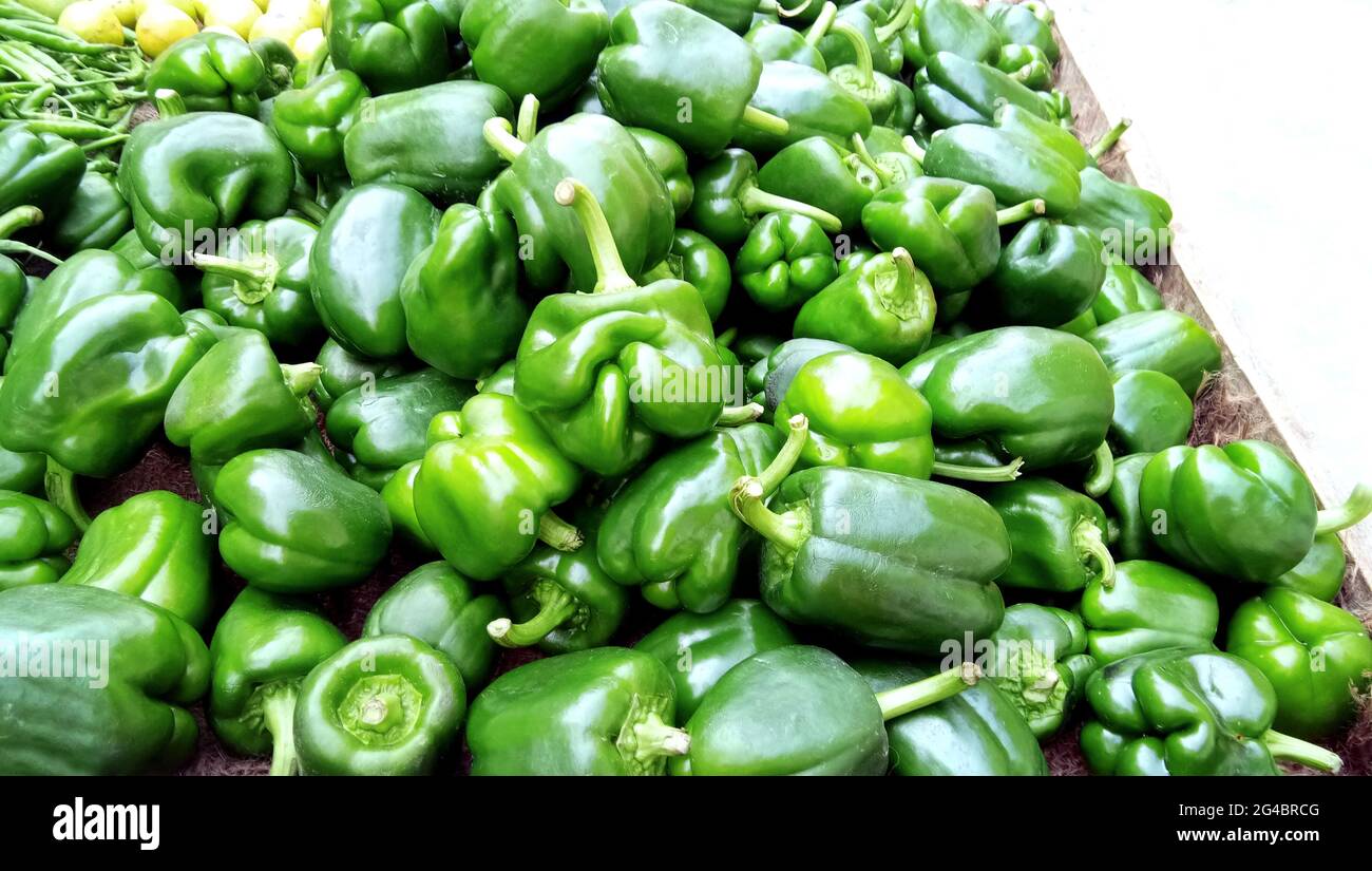 Haufen Paprika oder Paprika in einem indischen Gemüsemarkt zum Verkauf Stockfoto