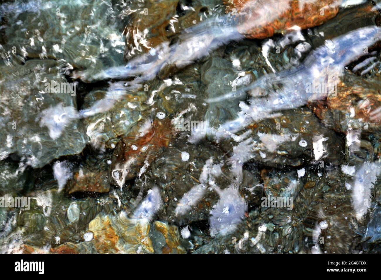 Draufsicht auf Felsen unter klarem Wasser mit Lichtreflexionen Stockfoto