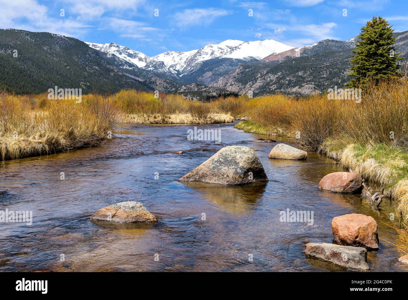 Spring Mountain Creek - EINE Frühlingsansicht des Big Thompson River im Moraine Park im Rocky Mountain National Park, Colorado, USA. Stockfoto
