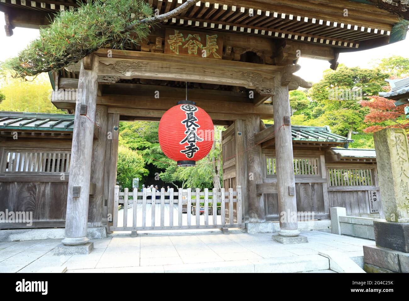 Große Laterne oder Akachochin am Eingang des Hasedera-Tempels Kamakura, Japan. Stockfoto