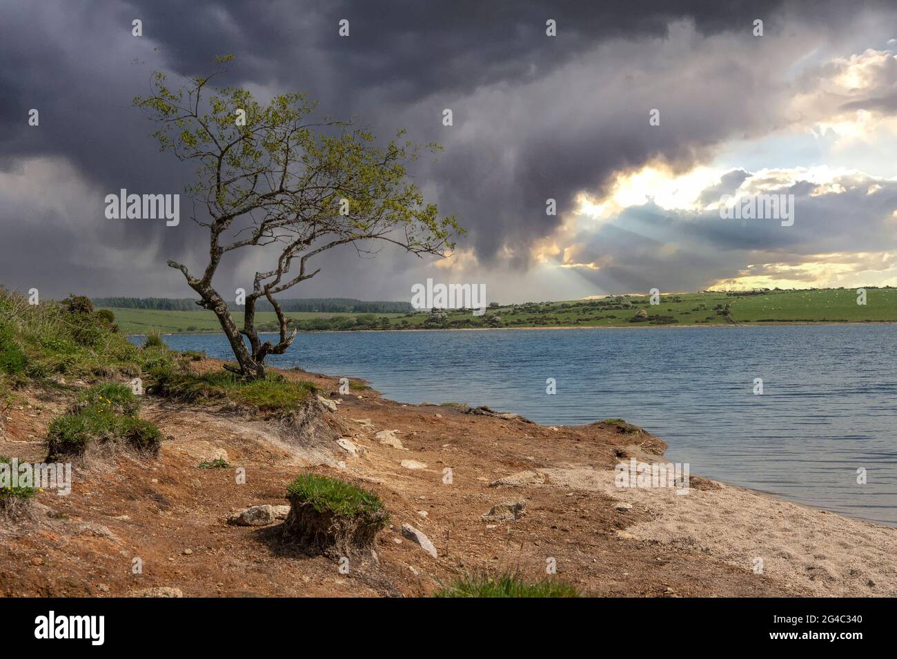 Colliford Lake, Cornwall, Großbritannien Stockfoto