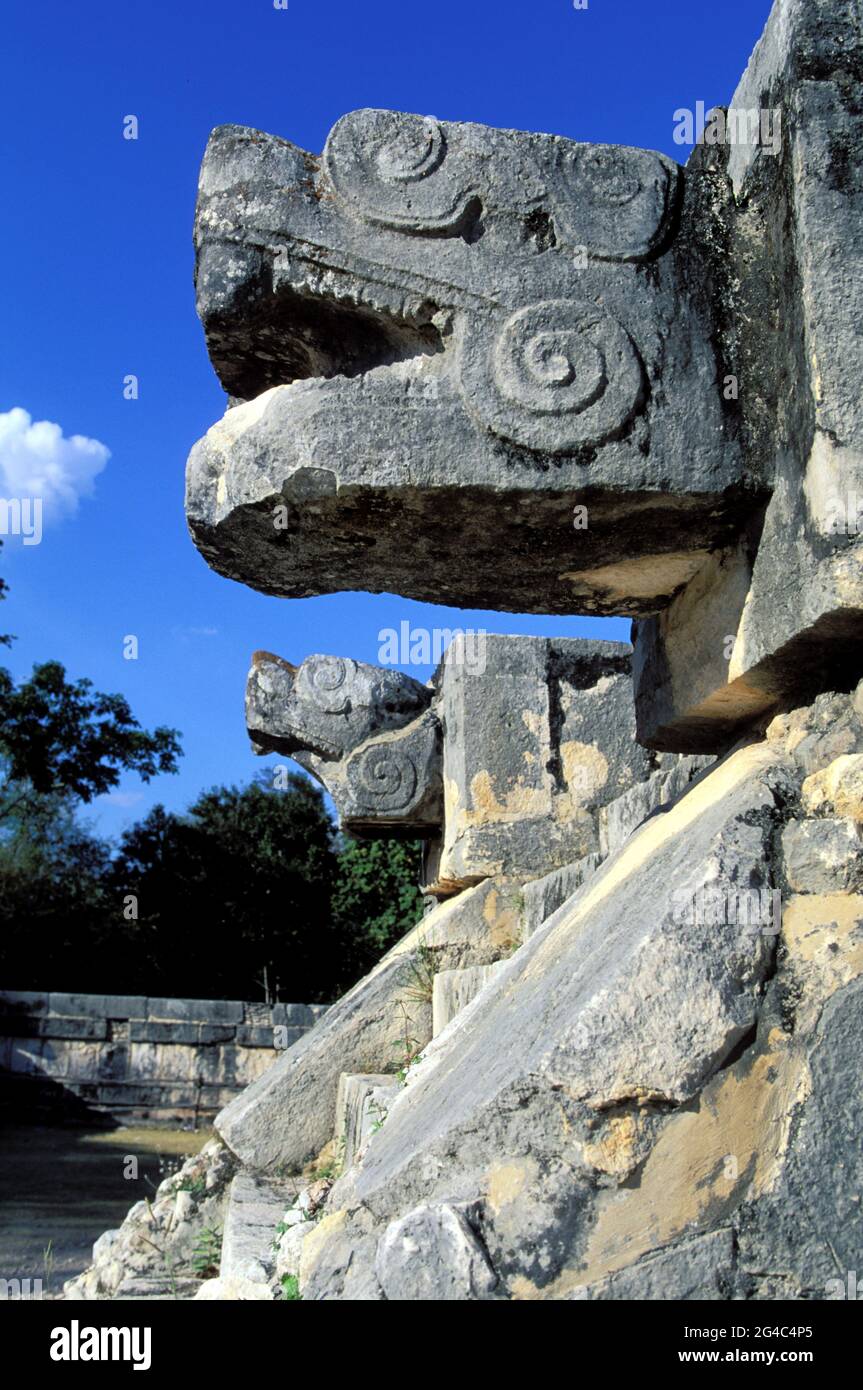 MEXIKO, BUNDESSTAAT YUCATAN, CHICHEN ITZA MAYA-TEMPEL, DER SCHLANGENKOPF AUF DER PLATTFORM DER VENUS Stockfoto